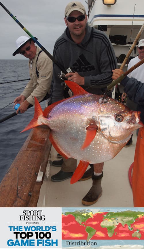 The World's Top 100 Saltwater Game Fish