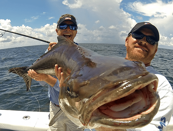 Huge Cobia Fishing Photo