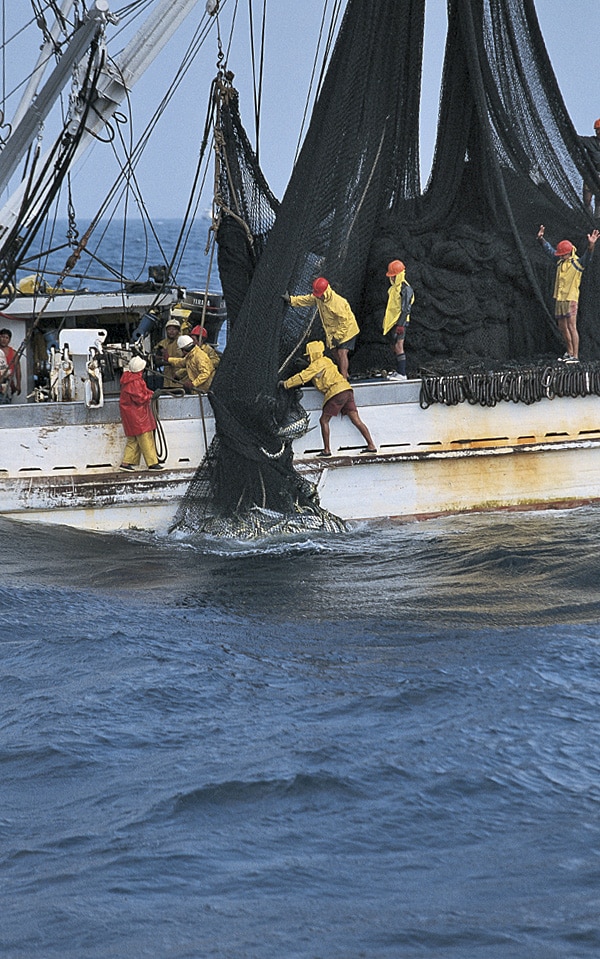 Manta, Ecuador fishing vacation spots