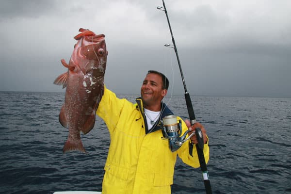 35 - red grouper, chub cay, bahamas.jpg