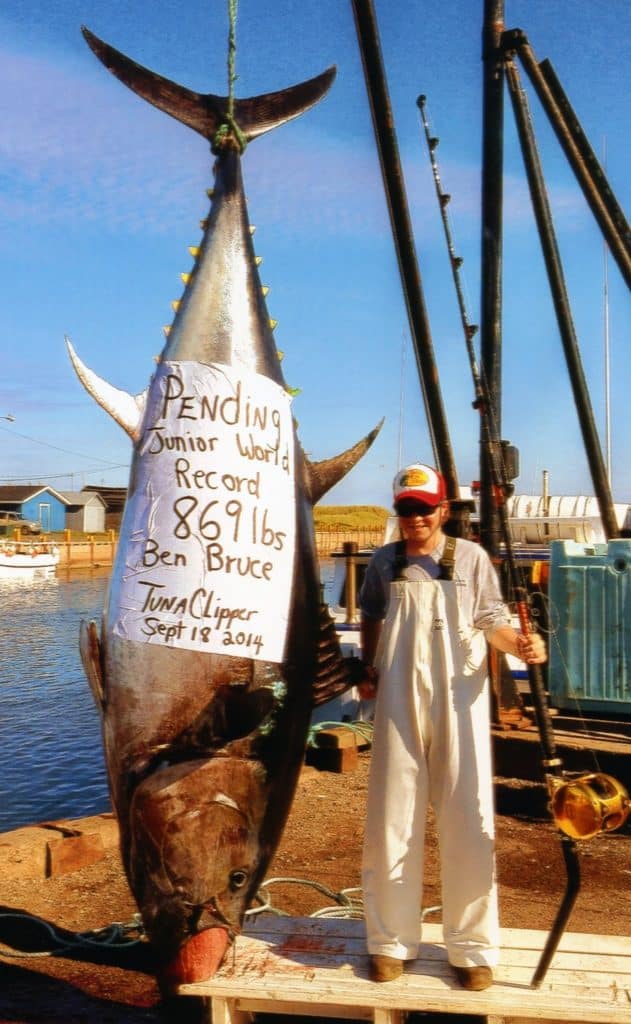 868-POUND, 9-OUNCE BLUEFIN TUNA