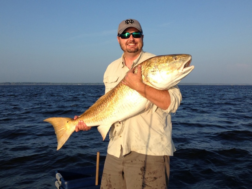 Redfish Red Drum Fishing Photo