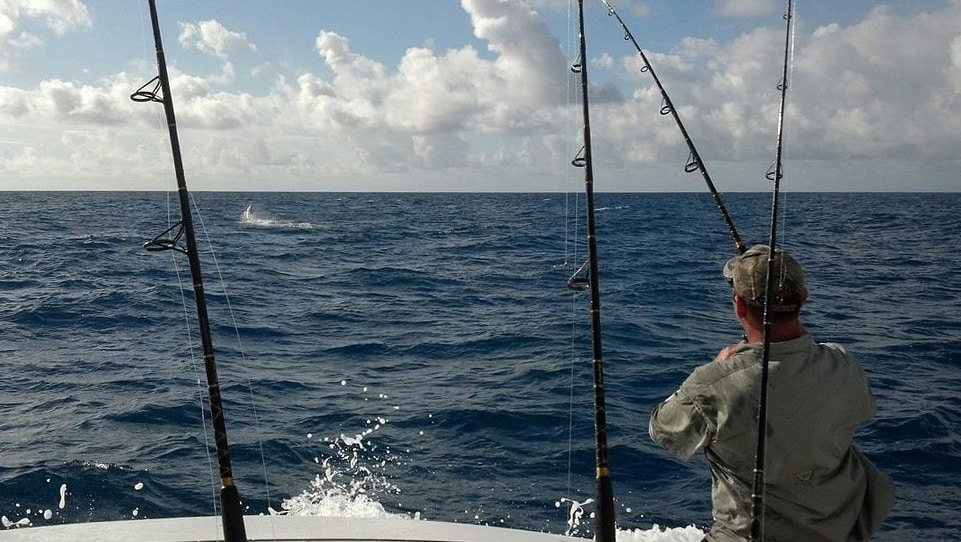 Sailfish Fishing Photo - World's Fastest Fish