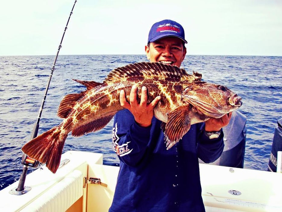 Big Lingcod Fishing Photo