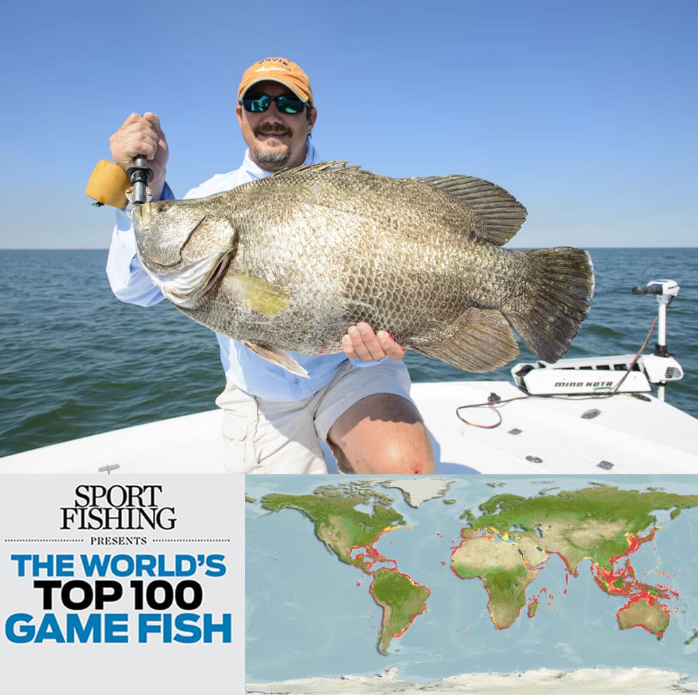 The World's Top 100 Saltwater Game Fish