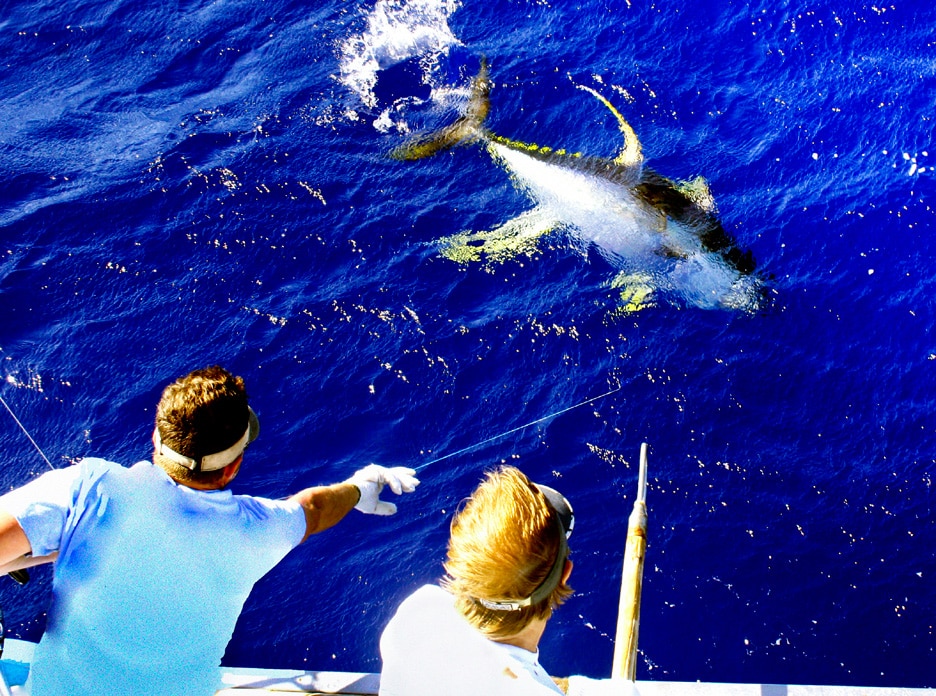 Tuna Fishing Photo by Sport Fishing Reader