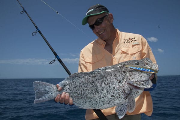 39 - speckled blue grouper, new caledonia.jpg