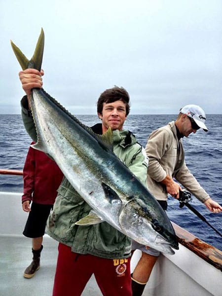 Yellowtail Fishing Photo - 2