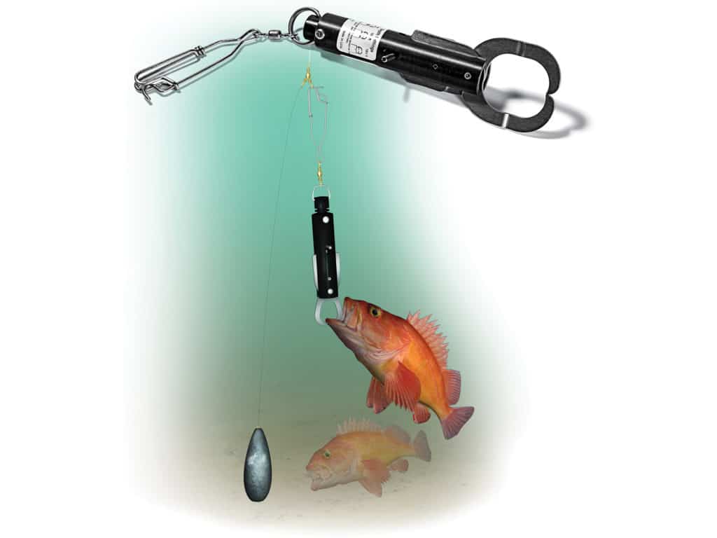 Fish Descending Device or Fish Descender for deep Water Release of Fish  with Barotrauma Including red Snapper. Packed in Stylish Hero tin  Packaging.