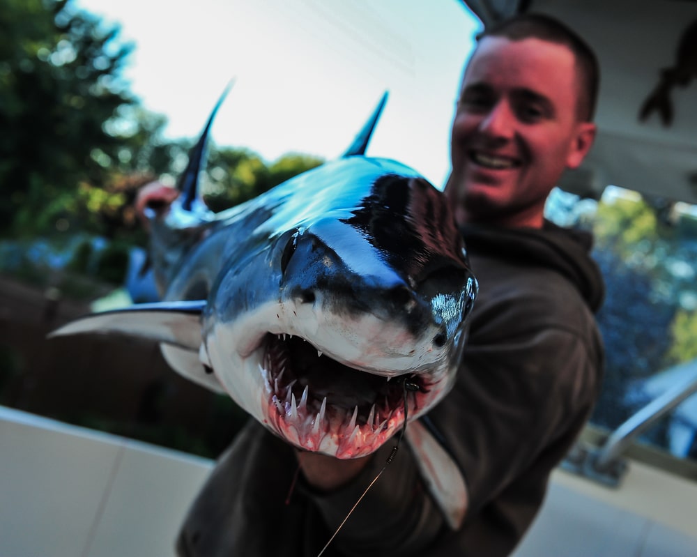 Mako Shark Fishing Photo - 1