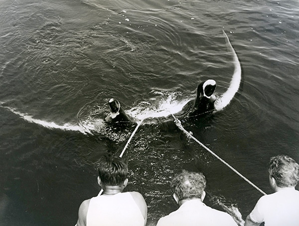 Huge Manta Ray Fishing photo