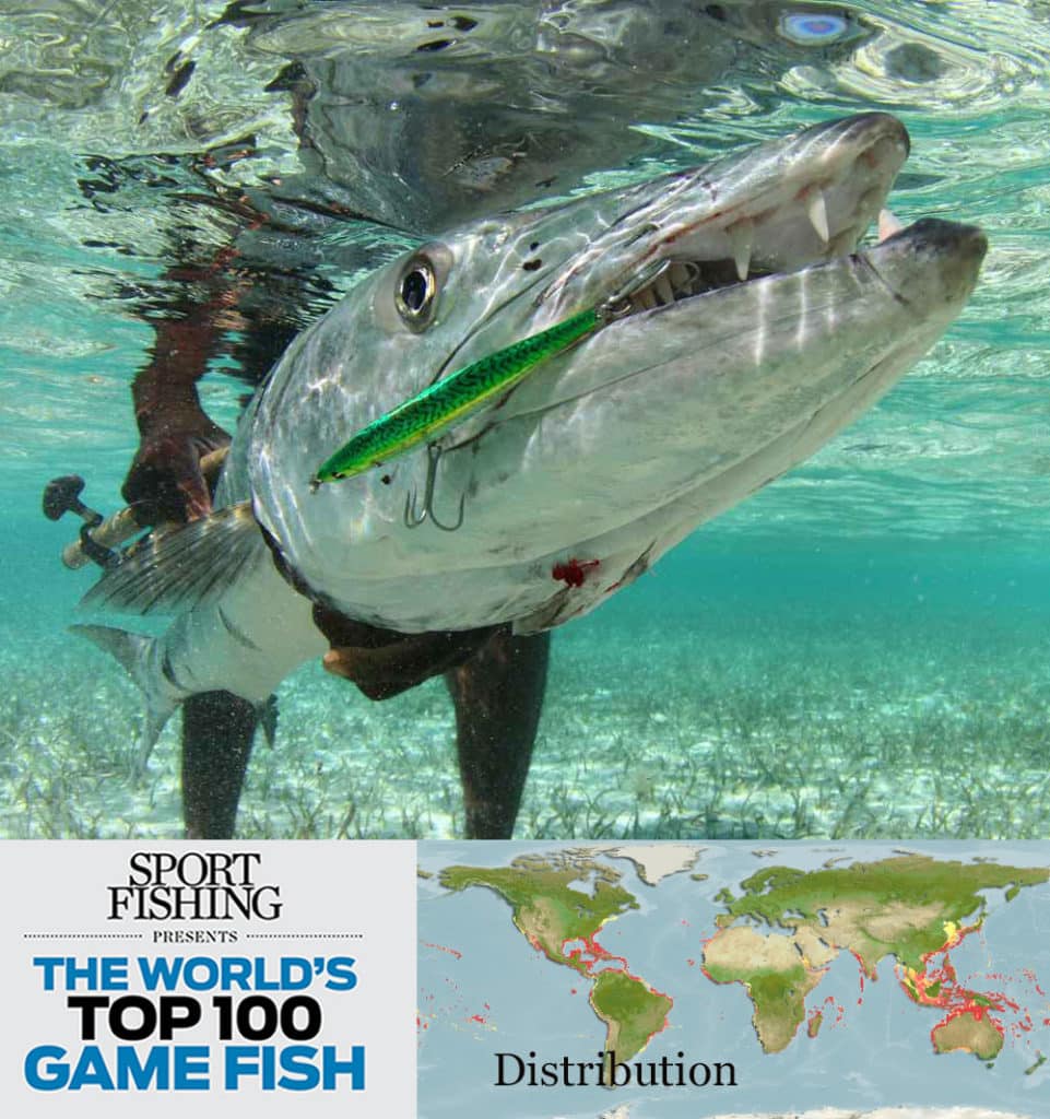 The World's Top 100 Saltwater Game Fish