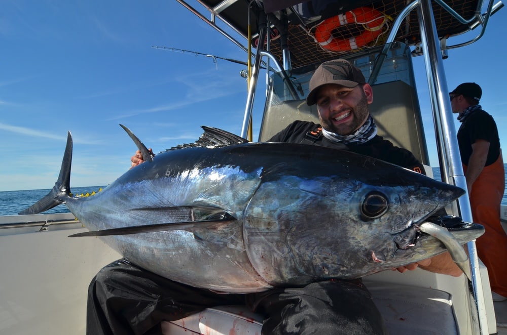 Bluefin Tuna Fishing Photo