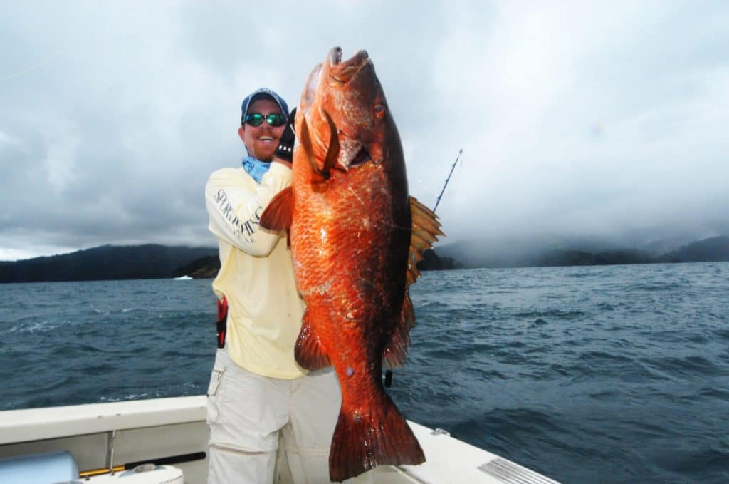 Anglers holding giant cubera snapper Tropic Star Lodge, Piñas Bay, Panana