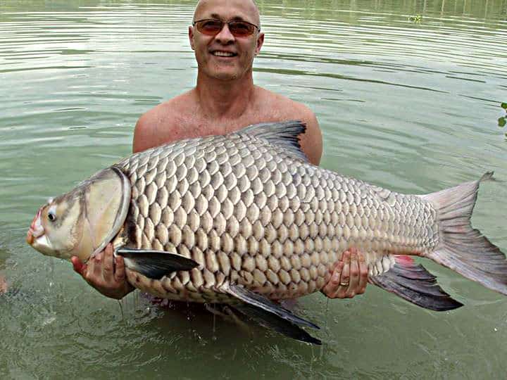 Giant Carp Fishing photo