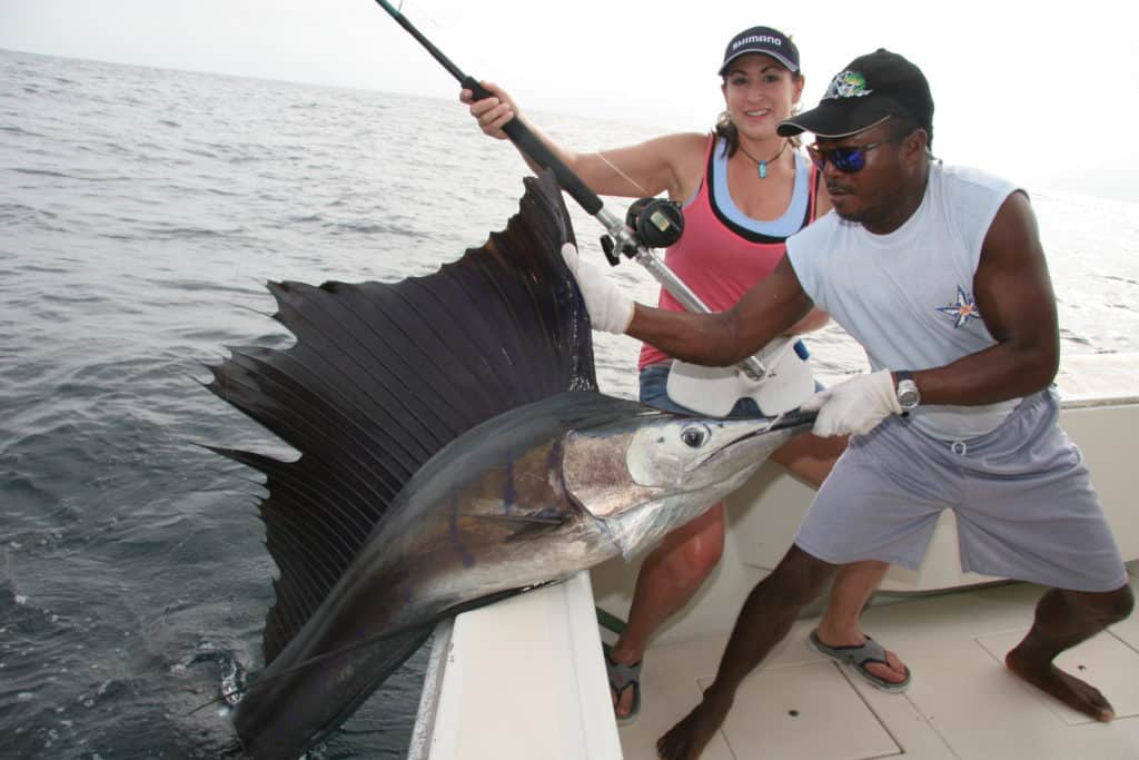 Lady angler releasing sailfish from fishing boat Tropic Star Lodge Panama