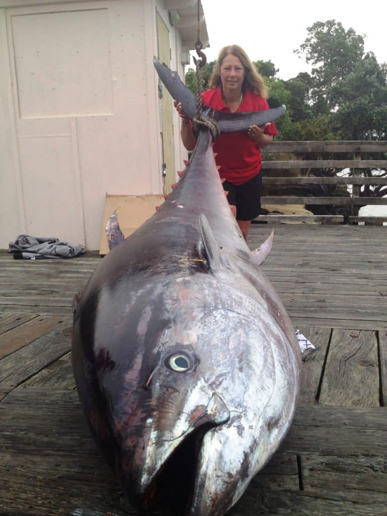 907-pound Pacific bluefin tuna BFT