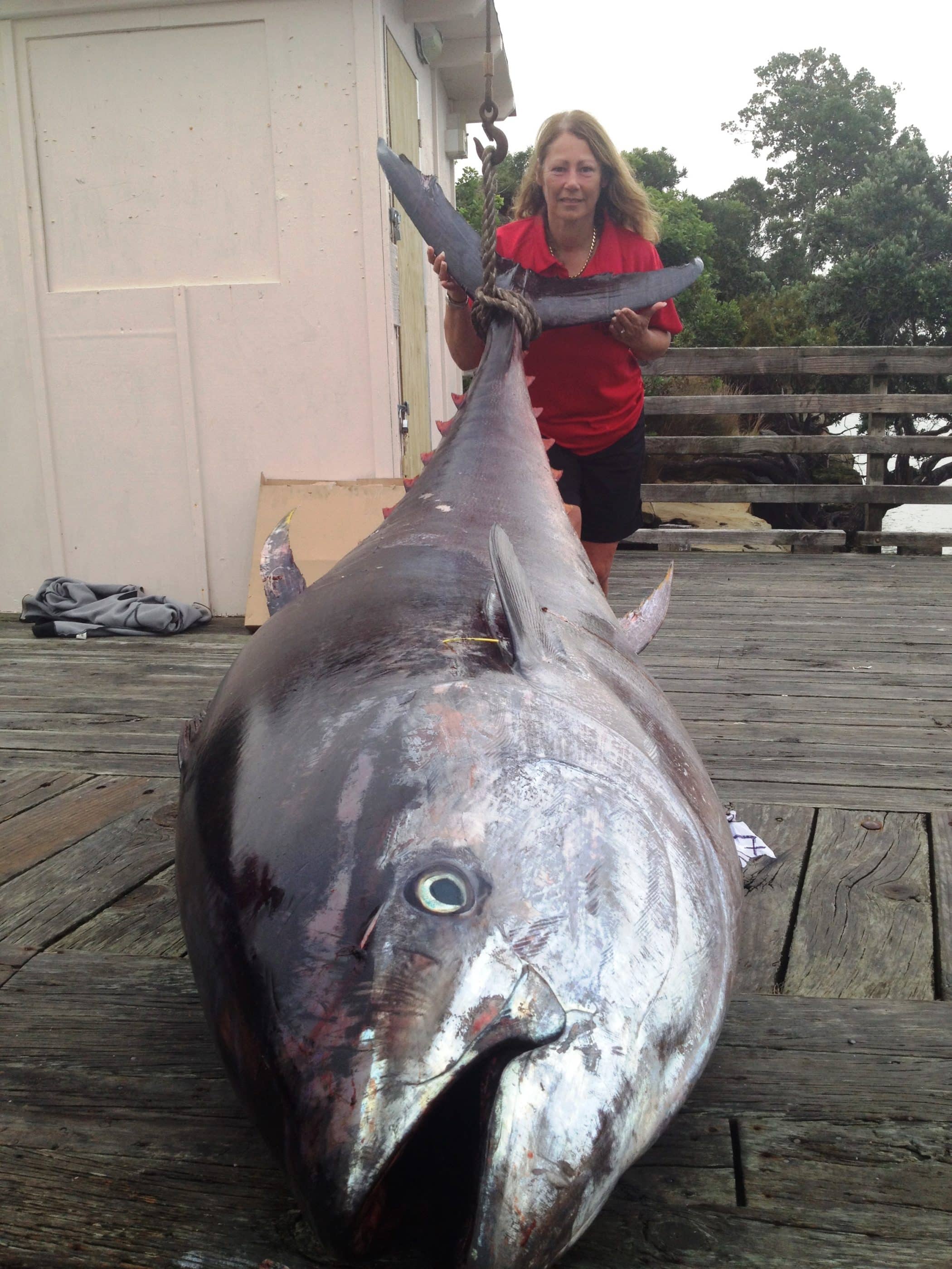 Big Fish Lures -  New Zealand