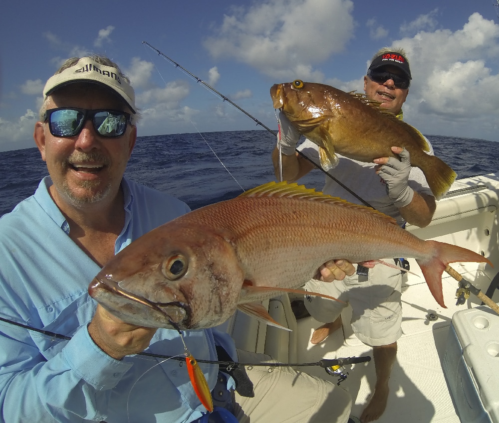 46 rosy jobfish, grouper g0024156.jpg