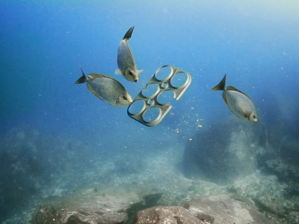 edible six pack rings, beer cans