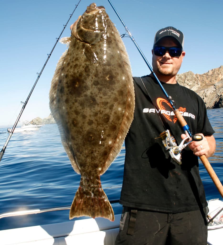 Santa Catalina Island halibut