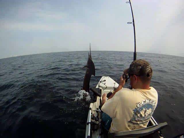 Sailfish in a Kayaka