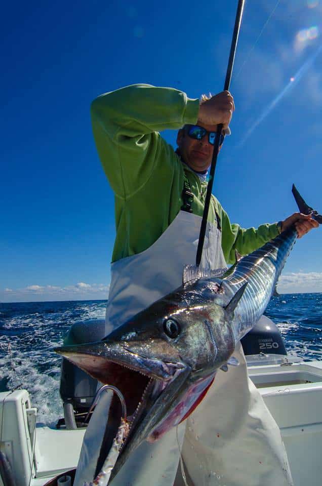 Wahoo Fishing Photo - 1