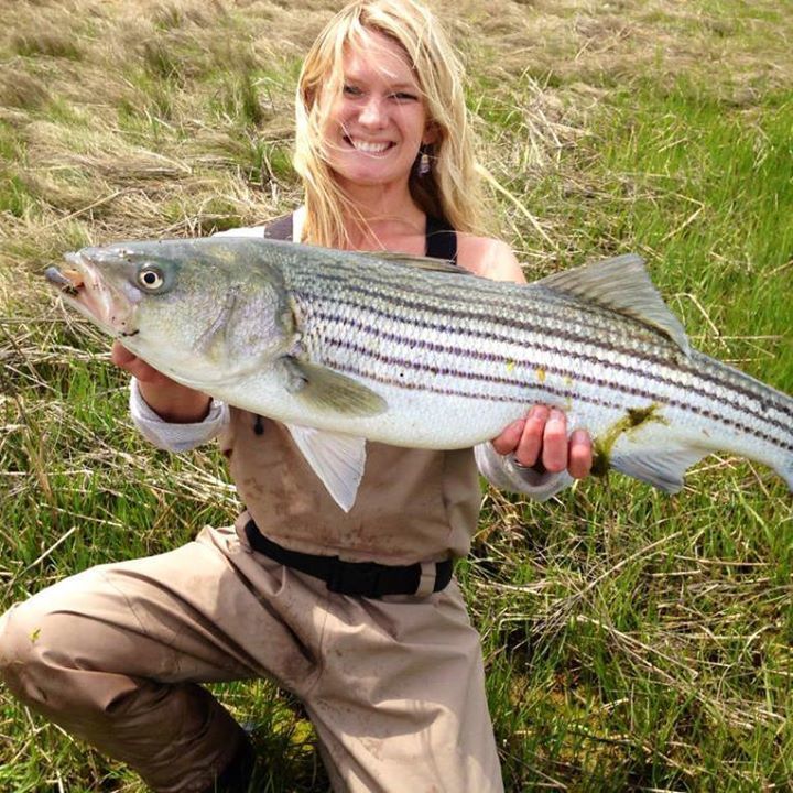 Striper Fishing Photo Martha's Vineyard