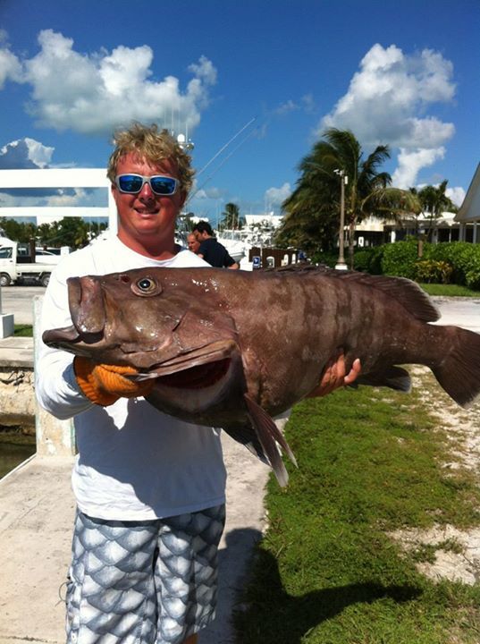 Misty Grouper Photo