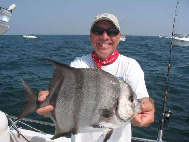 Spadefish Moonfish Photo