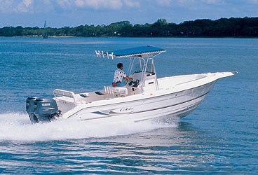 cobia274_1.jpg