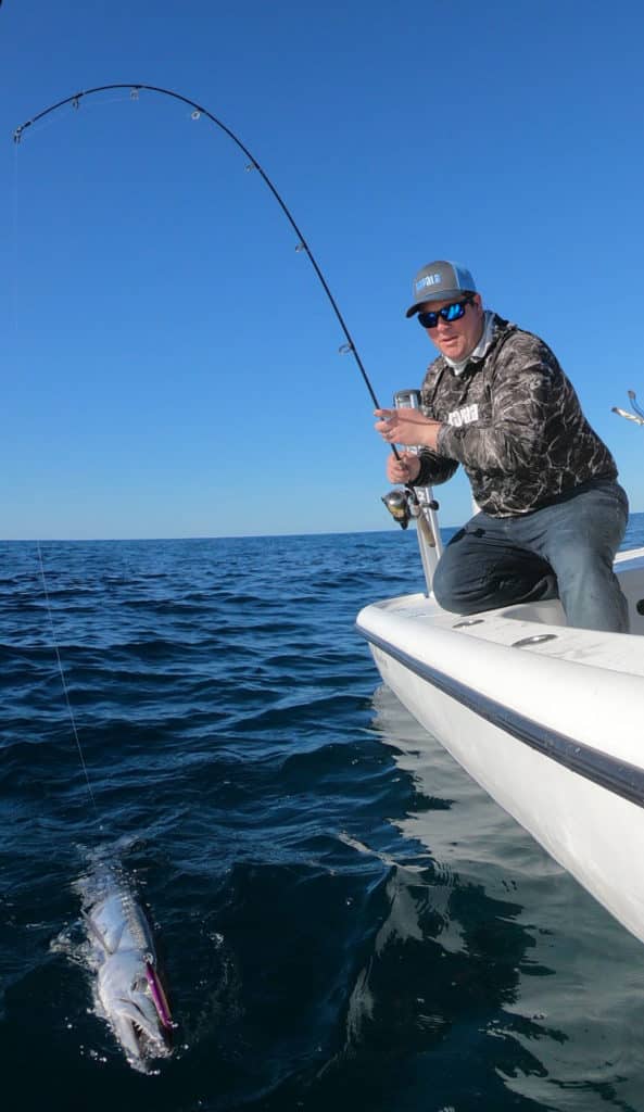 Barracuda caught on a spinning outfit