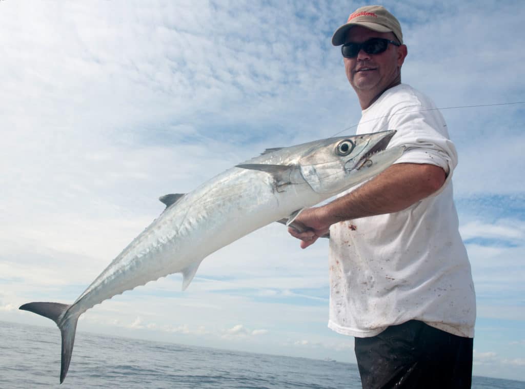 Kingfish caught on a wreck