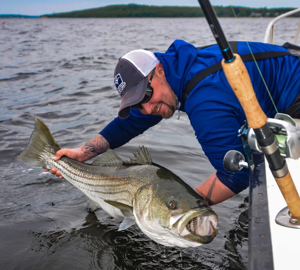 How To: Fishing a Circle Hook for Striped Bass 