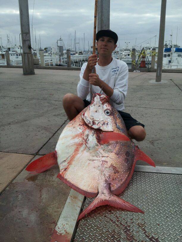 Deep-Sea Opah Swims Ashore in San Diego