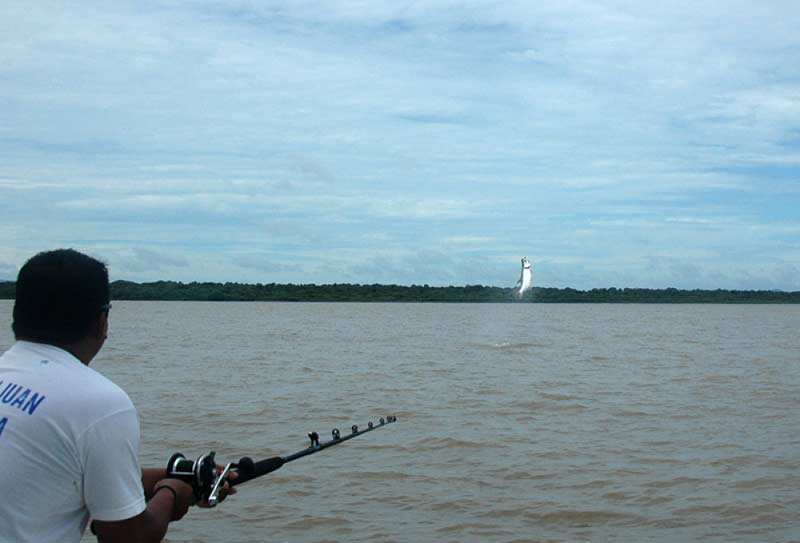 7-nicaragua-tarpon_15.jpg