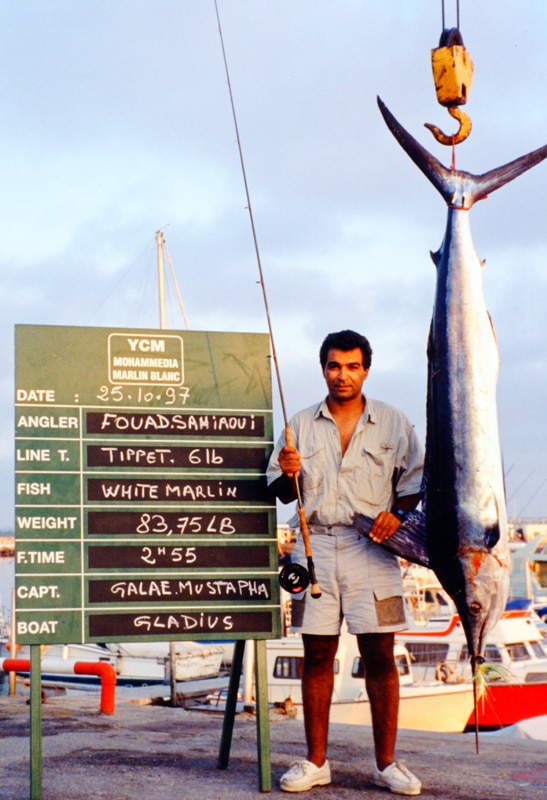 72_white marlin_mfr6lb_sahiaoui.jpg