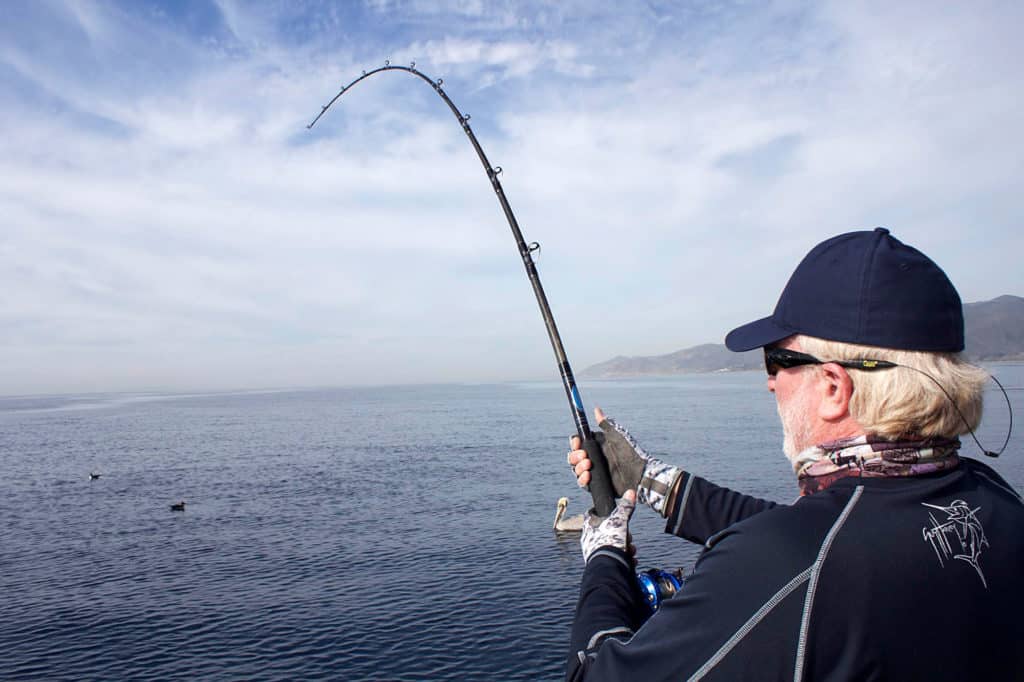 Santa Monica Bay is known for large California halibut