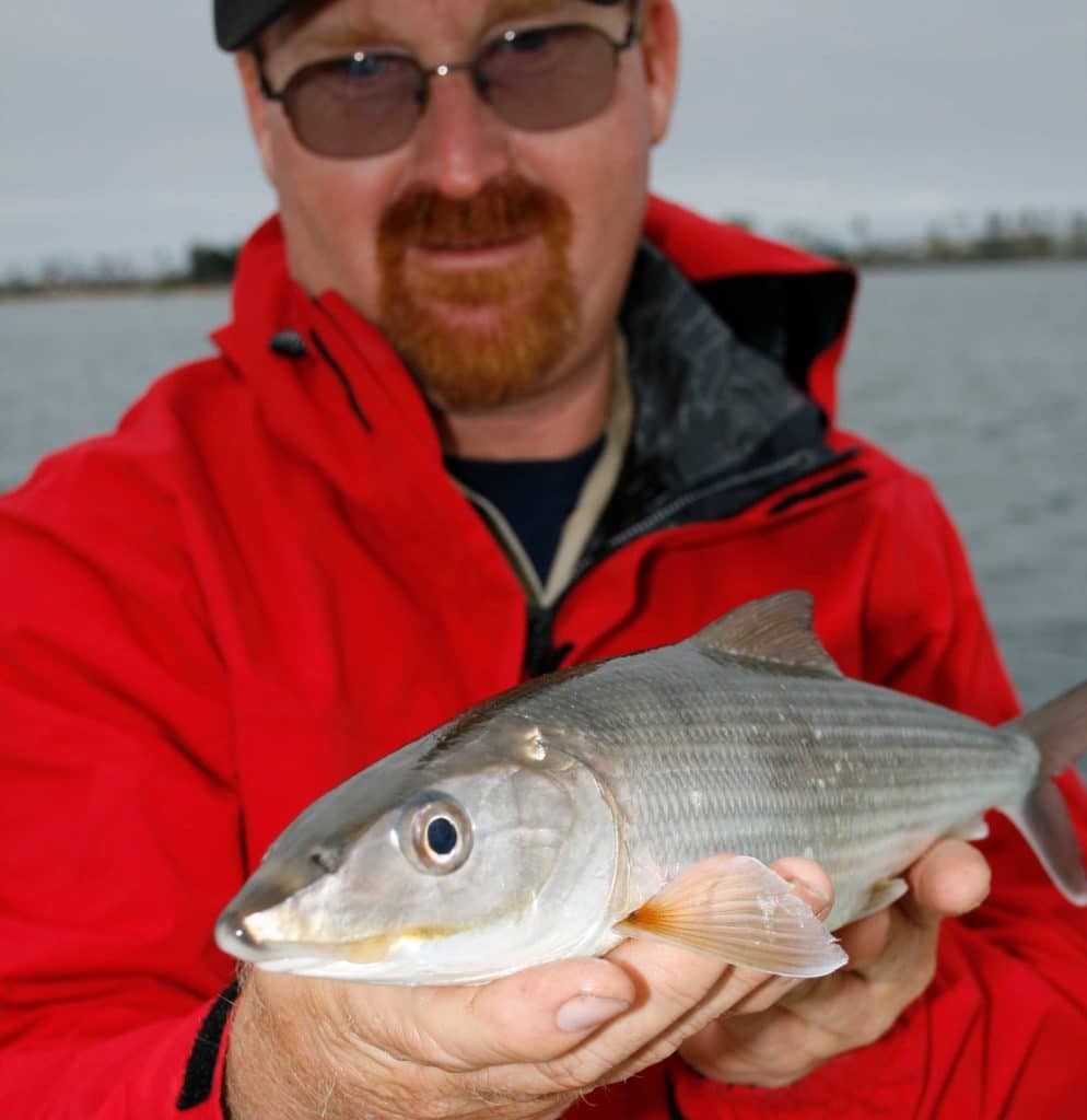 San Diego bonefish