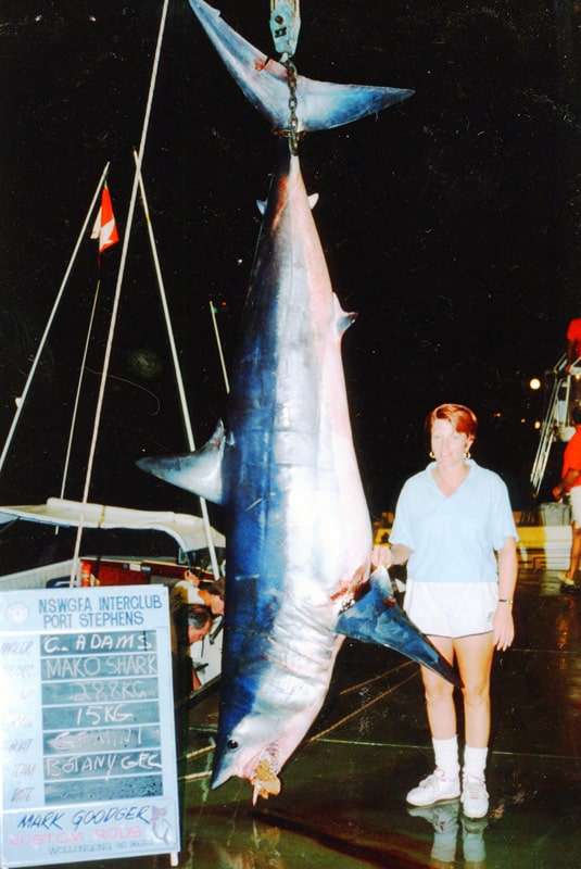 84_mako shark_w30lb_adams.jpg