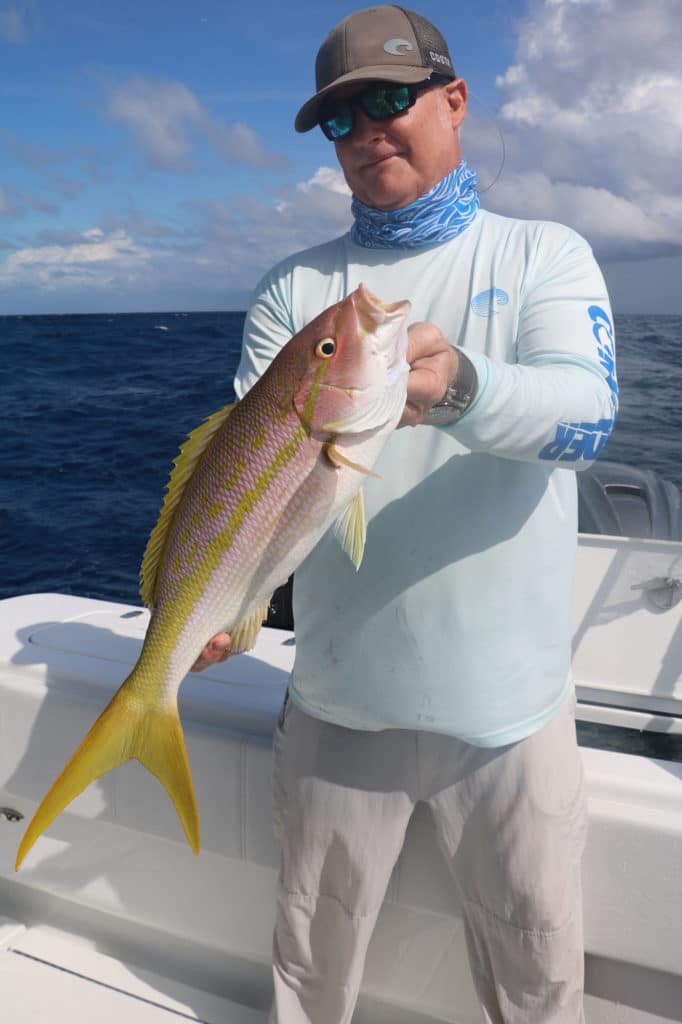 Yellowtail snapper caught on Contender 44FA