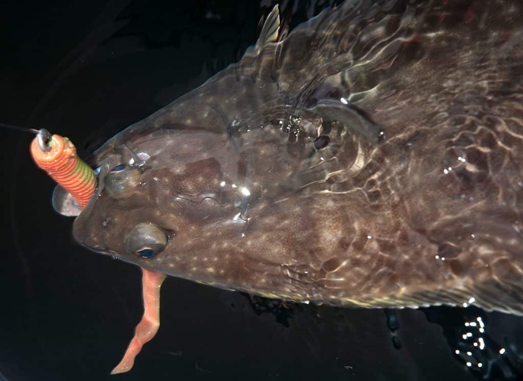 Using a jig to catch halibut