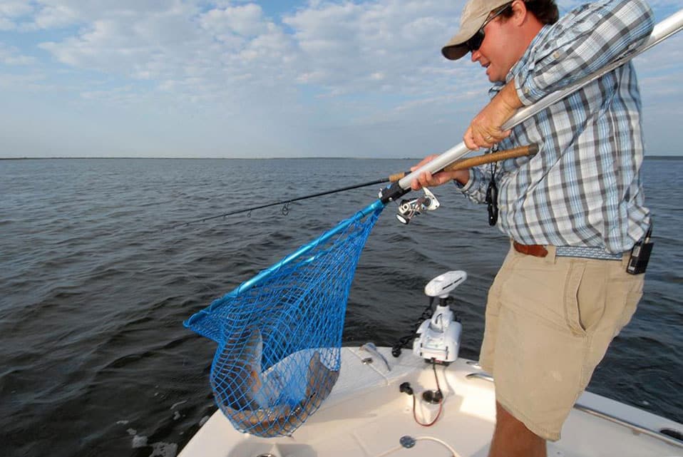Angler netting a bull redfish in a fishing boat