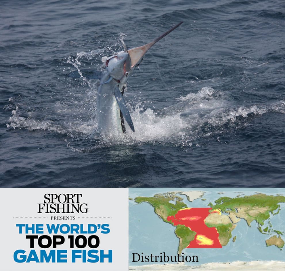 The World's Top 100 Saltwater Game Fish