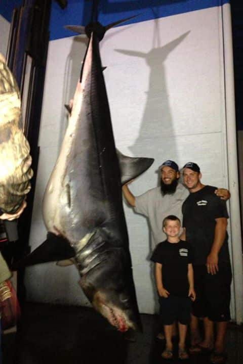 California Anglers Land Monster Mako Shark