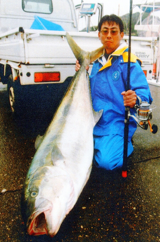 96_california yellowtail_at_taniwaki.jpg