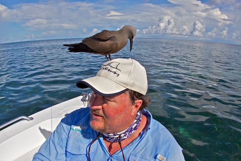 a-sooty-tern-visits-john-lang-in-the-seychellse-where-there's-no-people,-there's-no-fear..jpg