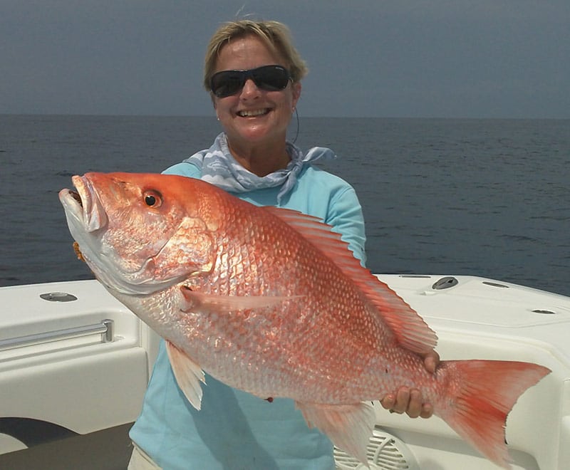 Red snapper will enjoy a new accounting.