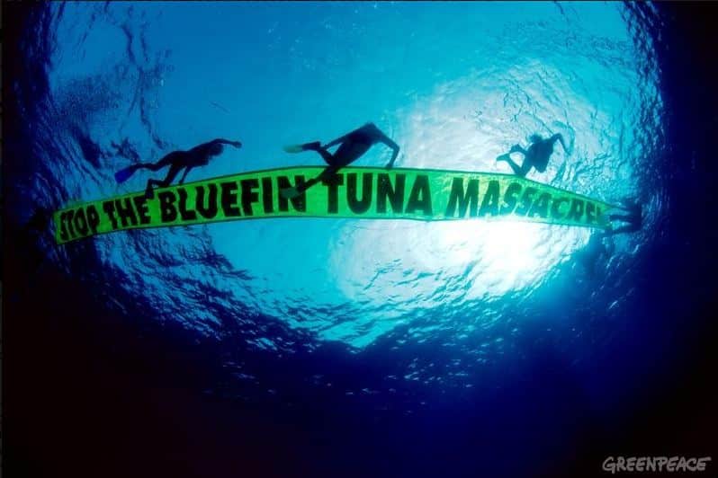 protest over tuna fishing