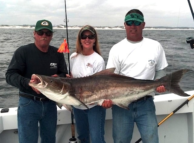 Colossal Cobia Await in Florida's Panhandle